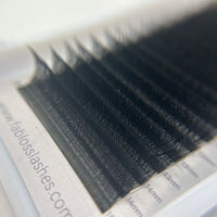 W Shape Lash Extensions 0.07mm