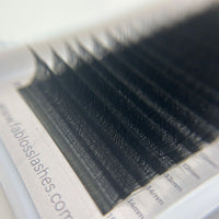 Wholesale W Shape Lash Extensions 0.07mm 8-15mm Mix